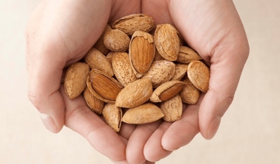 Photo of almond nuts scooped up by hand.